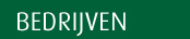 Online je Nederlands verbeteren