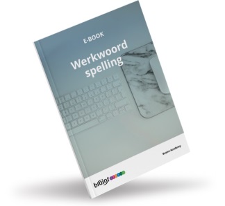 E-book Werkwoordspelling